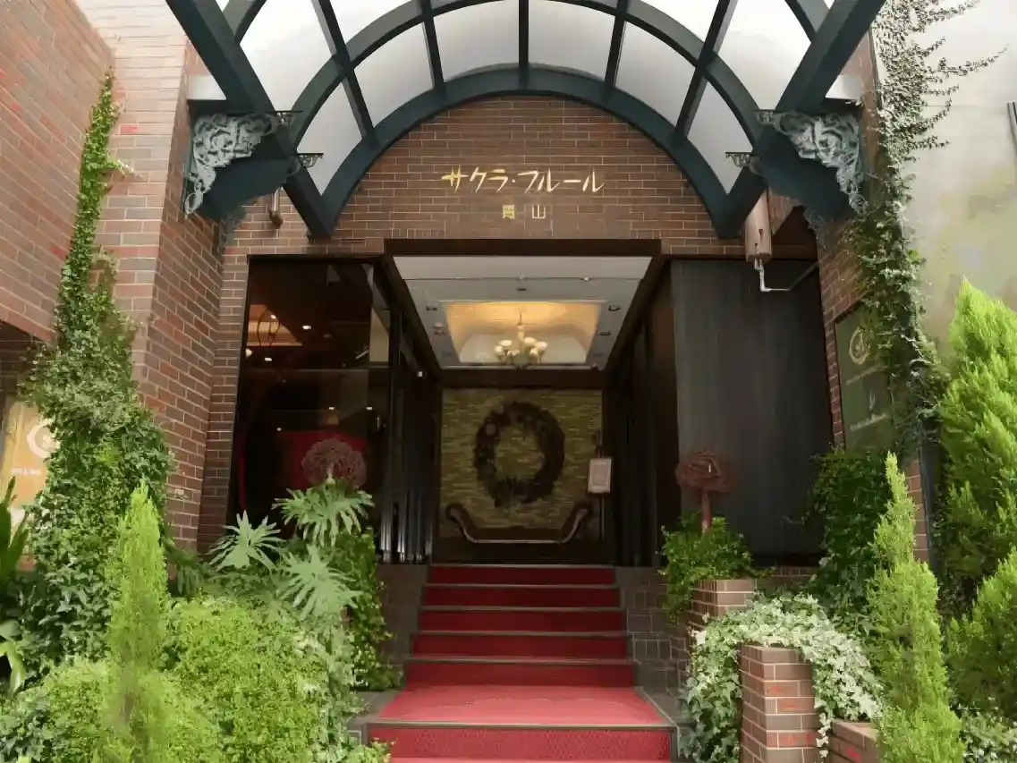 사쿠라 플류 아오야마