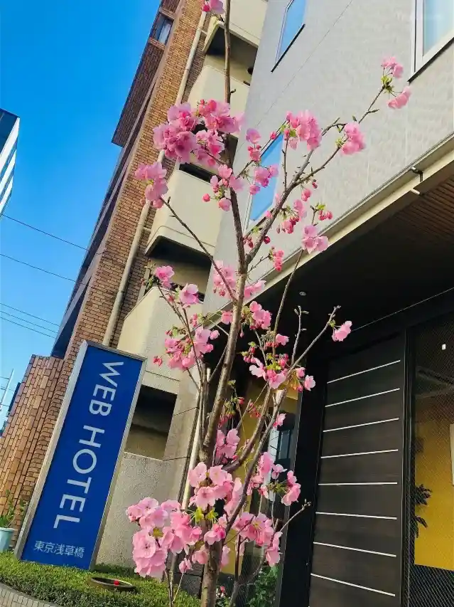 웹 호텔 도쿄 아사쿠사바시