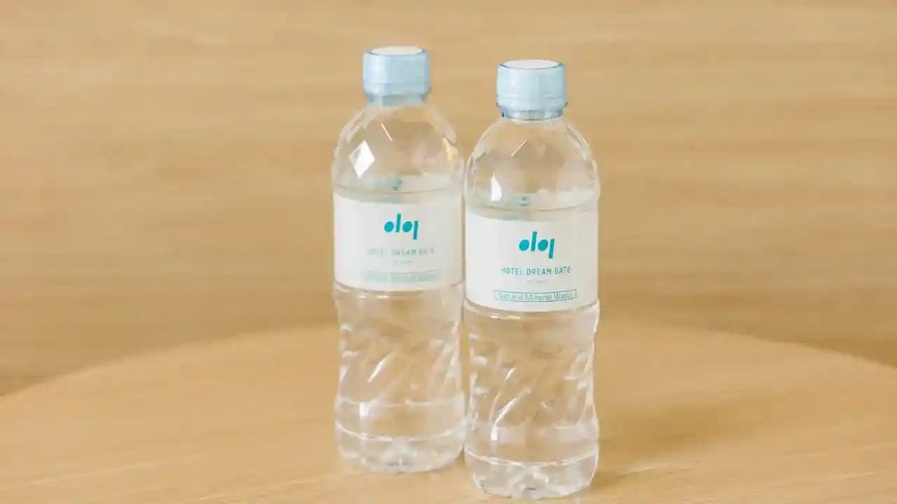 호텔 드림 게이트 마이하마 도쿄