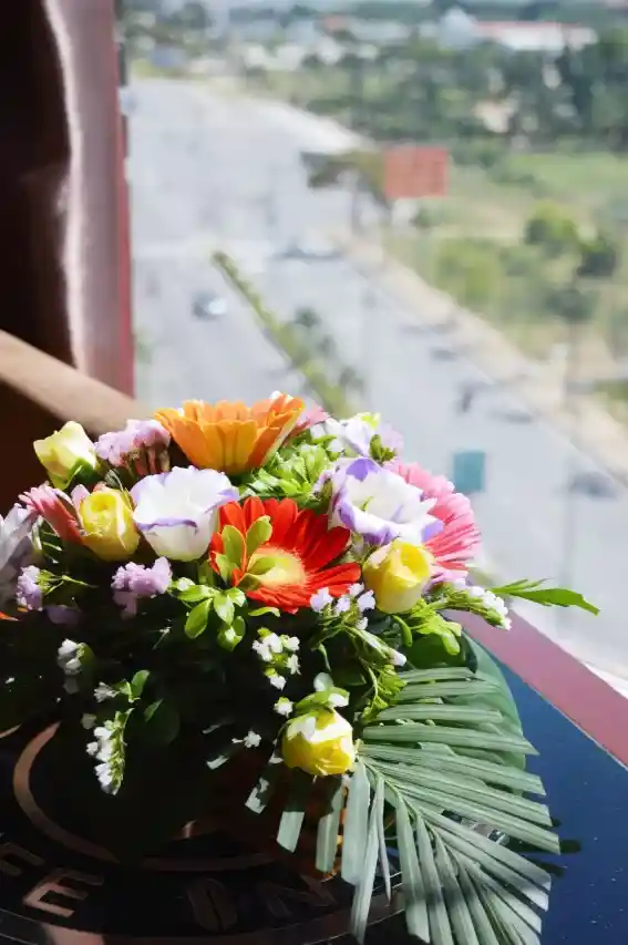 브라운 빈 2 호텔