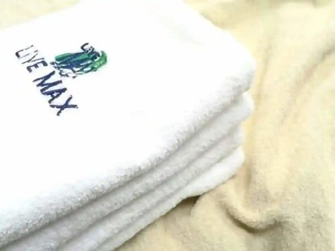 호텔 라이브맥스 가사이 에키마에
